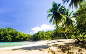 Vous rêvez d’un voyage dans les caraïbes ? la Guadeloupe est prometteuse !