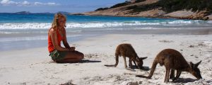 Une échappée belle en Australie : un voyage inédit au pays des kangourous