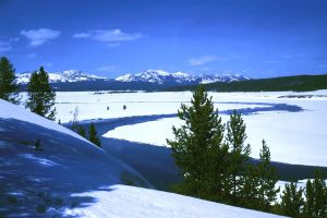 Découvrir Yellowstone en hiver