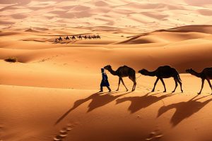 Désert du Sahara et ses lieux mythiques