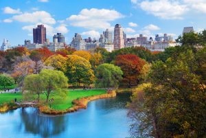 Les incontournables au Central Park