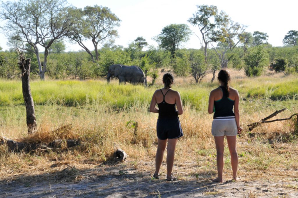 aller-au-botswana