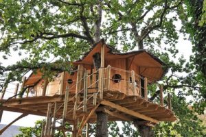 cabane-dans-les-bois