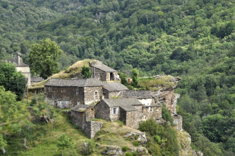 Respirer la liberté au cœur des Cévennes