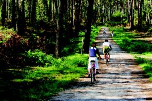 tourisme velo