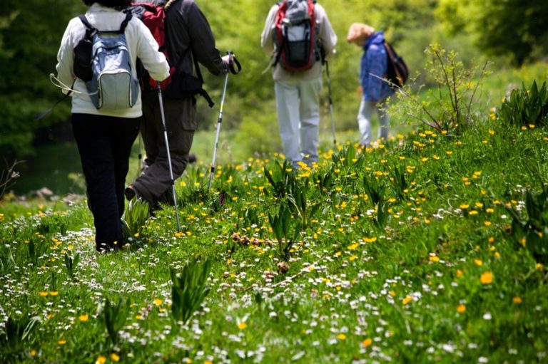 Les activités phare dans les Landes