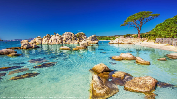 Découvrez pourquoi vous devez visiter l’île de Beauté