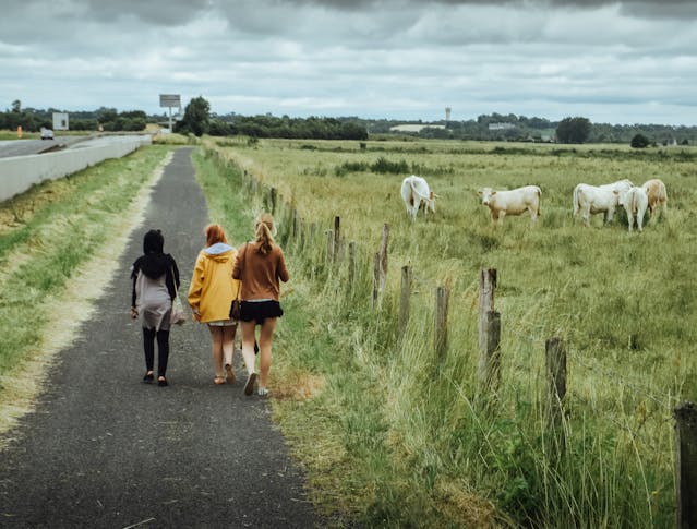 Voyager responsable : respecter les clôtures et le bétail en road-trip