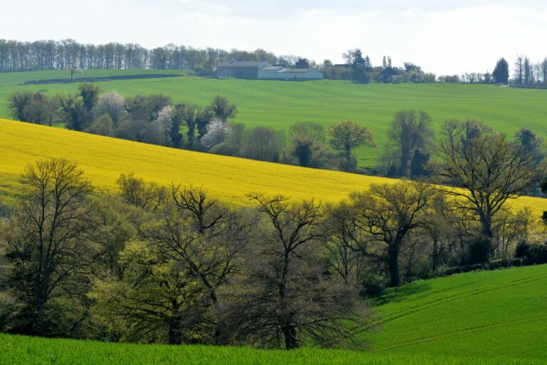 Week-end nature en France : où partir et comment bien préparer votre escapade